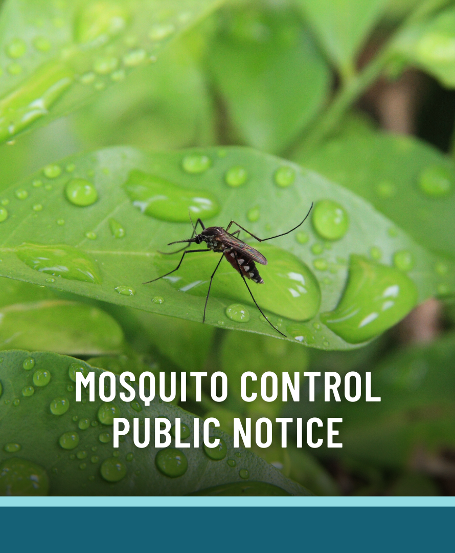 Mosquito Control News Photo Placeholder (PNG)