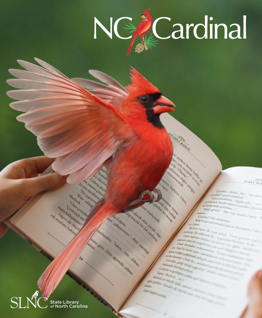A red cardinal flying over an open book.