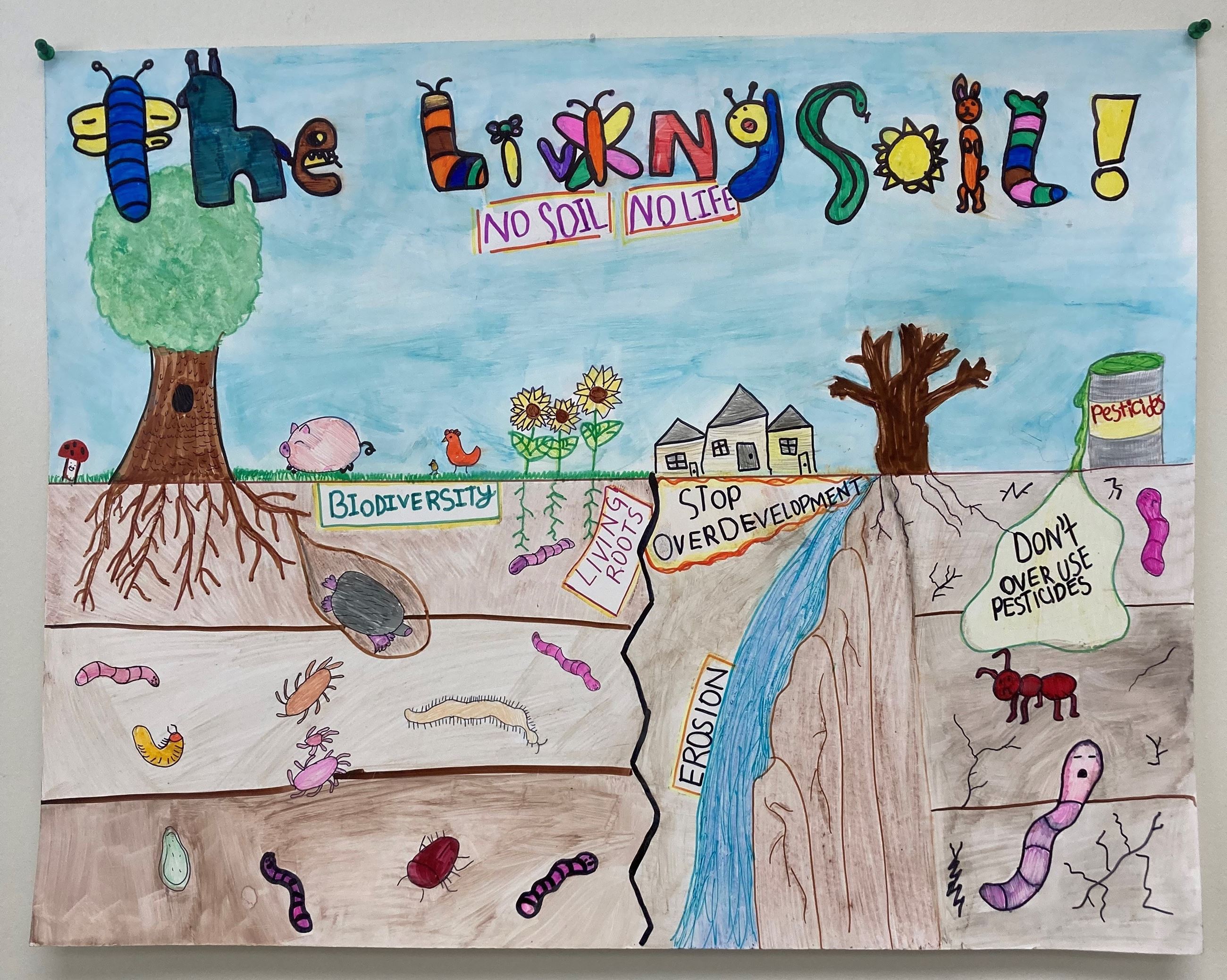 5th Grade County - Emma Neville - Bolivia