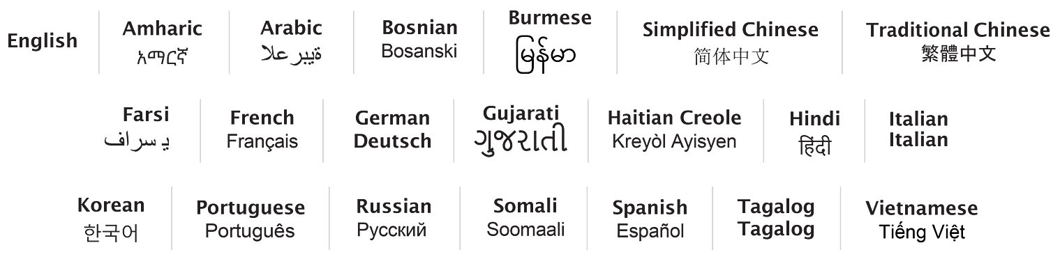 Limited English Proficiency Image